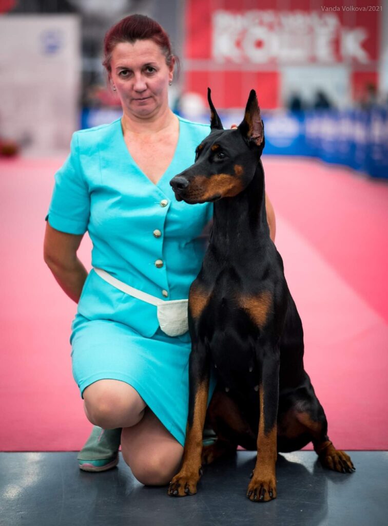 15-17.10.2021  3 х INTERNATIONAL DOG SHOWS CACIB – FCI, г.Нижний Новгород, судьи: Е.Ерусалимская, Stefan Mitrevski, Falk-Rüdiger Siewert