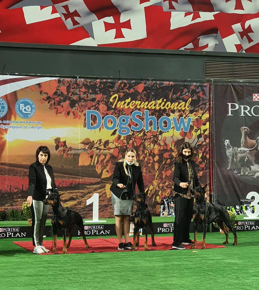 16.10.2021 INTERNATIONAL DOG SHOW CACIB – FCI, Georgia, Tbilisi