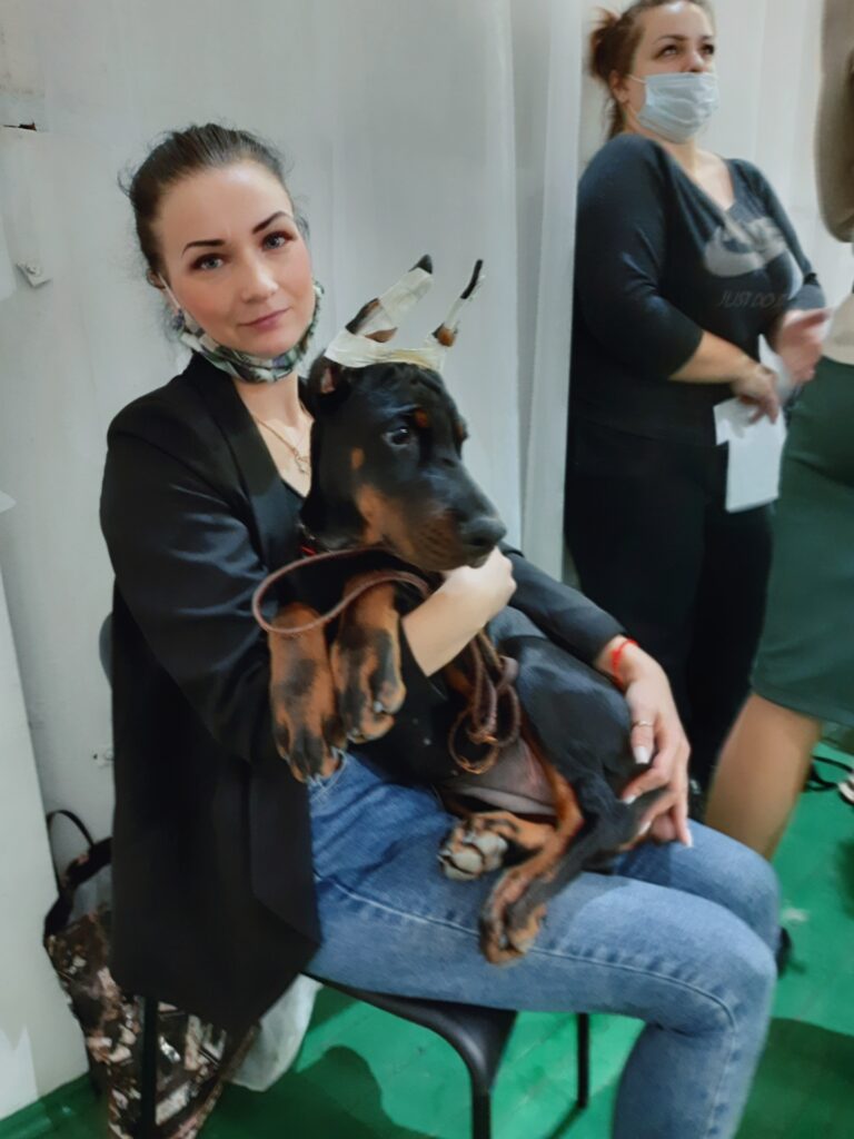 14.11.2021 Всероссийская выставка, г.Великий Новгород, судья: Л.Попова