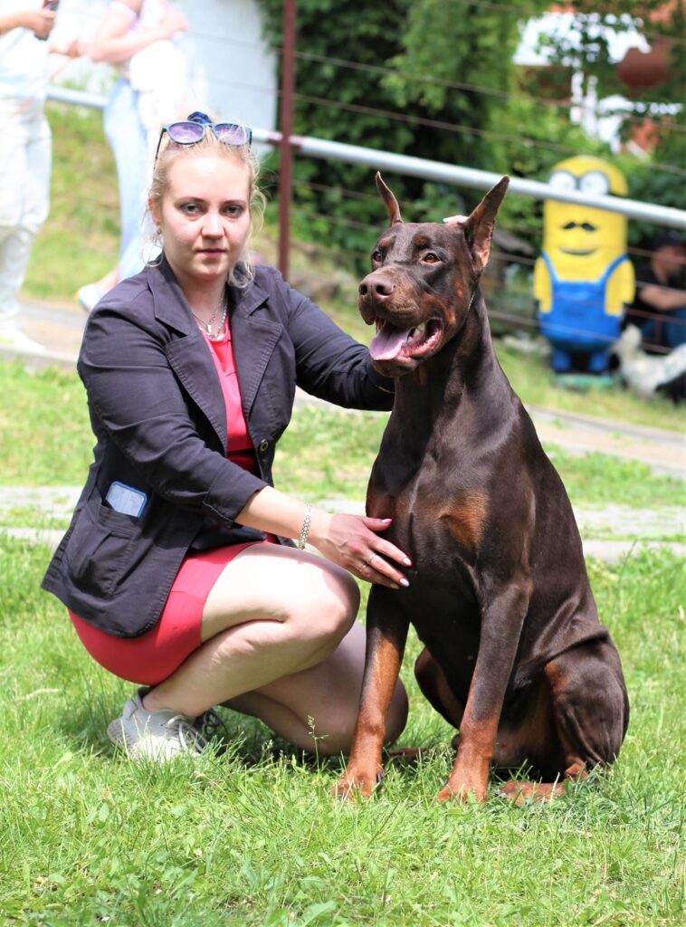 28-29.05.2022 Краснодар, Ростов-на-Дону, 2 монопородные выставки ранга КЧК в каждом классе