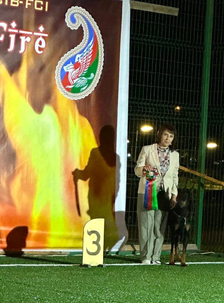 25-26.05.2024 Азербайджан, Баку, 2 Международные выставки, судьи: Р.Алиева-Агабейли, З.Агабейли