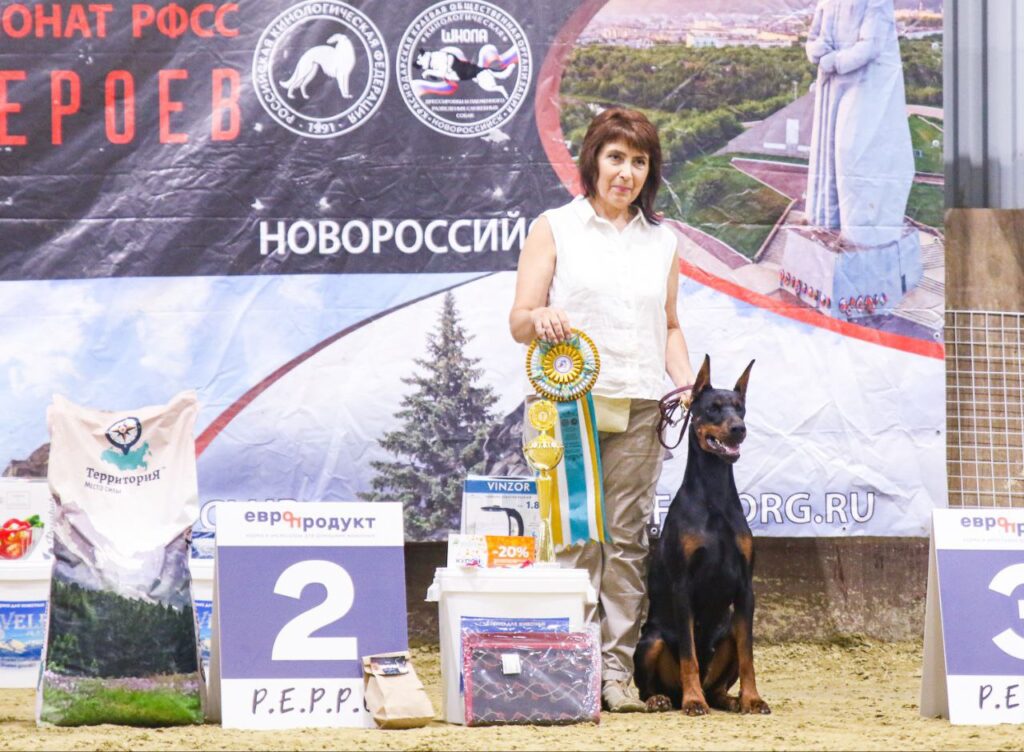15-16.06.2024 Новороссийск, 2хСАС, Рейтинговая выставка «Кубок городов Героев», судьи: В.Горохов, А.Белкин, М.Пермяков