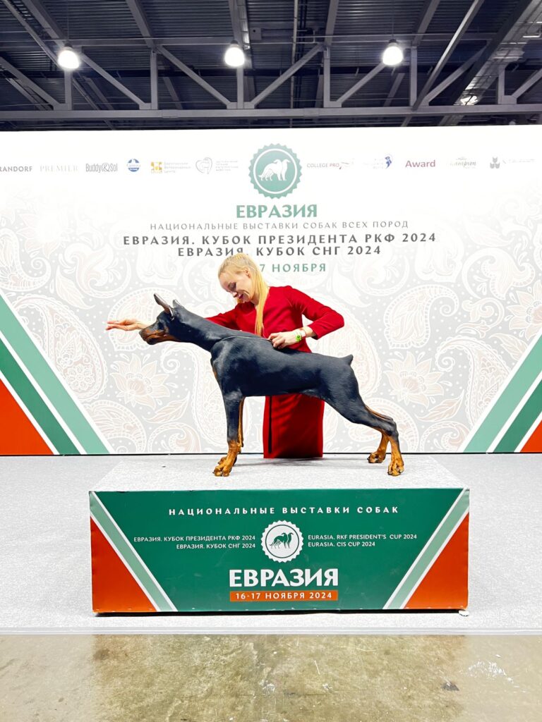 16.11.2024 «ЕВРАЗИЯ. Кубок Президента РКФ 2024», судья: Читери Венкетакришнан СУДАРСАН / Chiteri Venketakrishnan SUDARSAN (Индия)