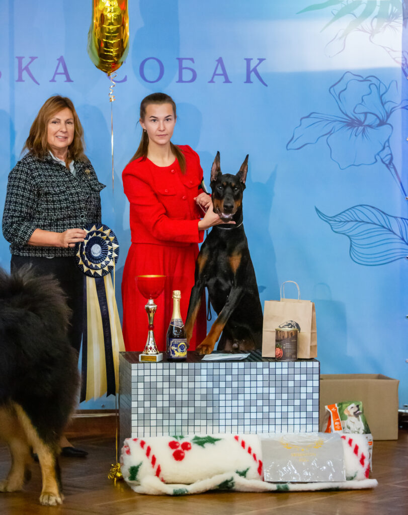 23.11.2024  Выставка собак всех пород ранга САС — ЧФ г. Рыбинск «СЕНСАЦИЯ — 2024»  Эксперт:Гаврилова Яна Адольфовна