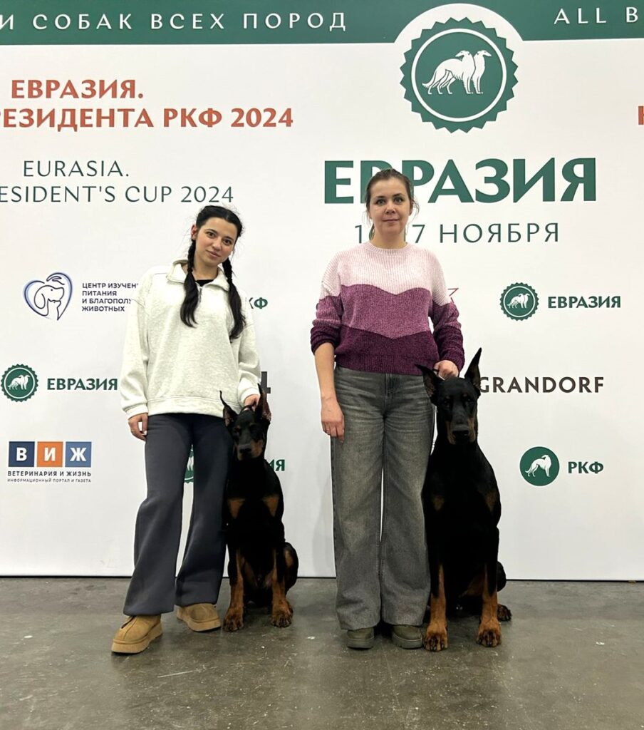 17.11.2024 «Евразия. Кубок Ппрезидента 2024» / “Eurasia. President’s Cup 2024”, судья: Джексон КИМБЕР / Jacson KIMBER (Корея)