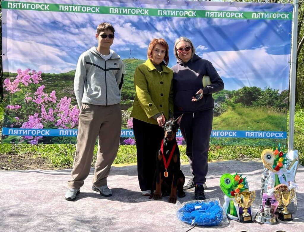 13.04.2025, Пятигорск «Выставка всех пород ранга САС ЧФ ПЯТИГОРЬЕ 25», судья: О.Гринь «Выставка всех пород ранга САС ЧФ СЕВЕРНЫЙ КАВКАЗ-25», судья: В.Бобикова