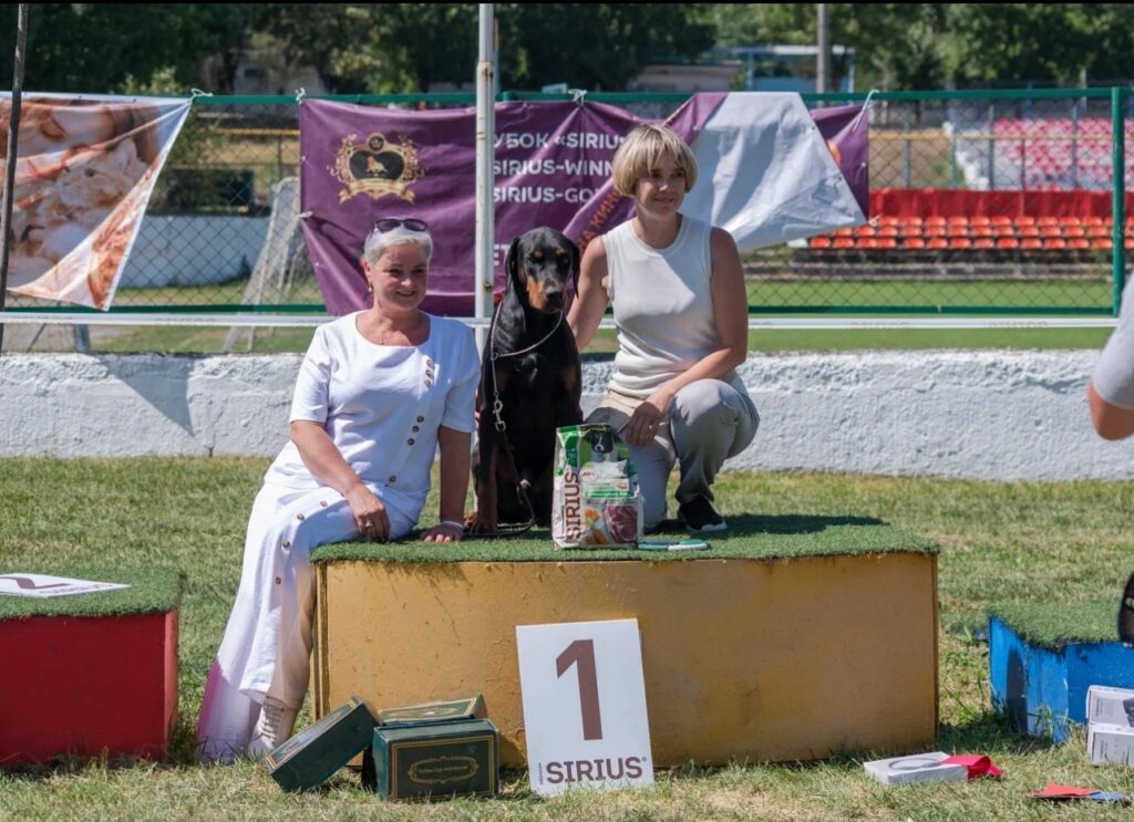 17.08.2025 Нальчик, КЛУБНОЕ ШОУ BRED by EXHIBITOR — ЭКСПОНЕНТ ВЫСТАВЛЯЕТСЯ ВЛАДЕЛЬЦЕМ, судья: С.Бреус