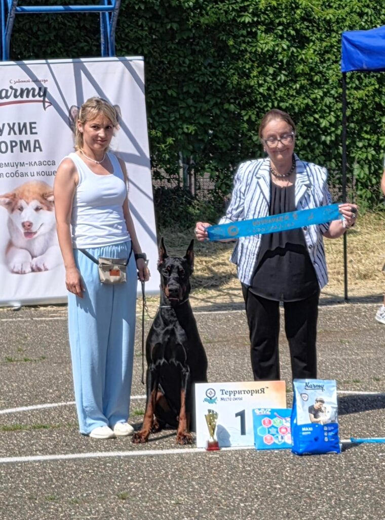 23.05.2026 Краснодар, Выставка собак всех пород ранга САС ЧРКФ г. Краснодар «Флагман» — «ПРЕМИЯ ЮФО», судья: Островская Марина, Выставка собак всех пород ранга САС ЧФ г. Краснодар «Флагман» — «ПРЕМИЯ ЮФО», судья: Stefan Mitrevski, САС 2 группы ранга, судья: Жаровцева И.