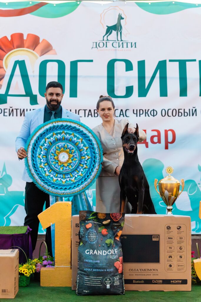 16.05.2026 г., г. Краснодар ,Рейтинговая выставка «ДОГ СИТИ» ранг ЧРКФ с особым статусом (САС в каждом классе) «ФЛАГМАН», судья: Sadiq Al Farsani (Бахрейн)