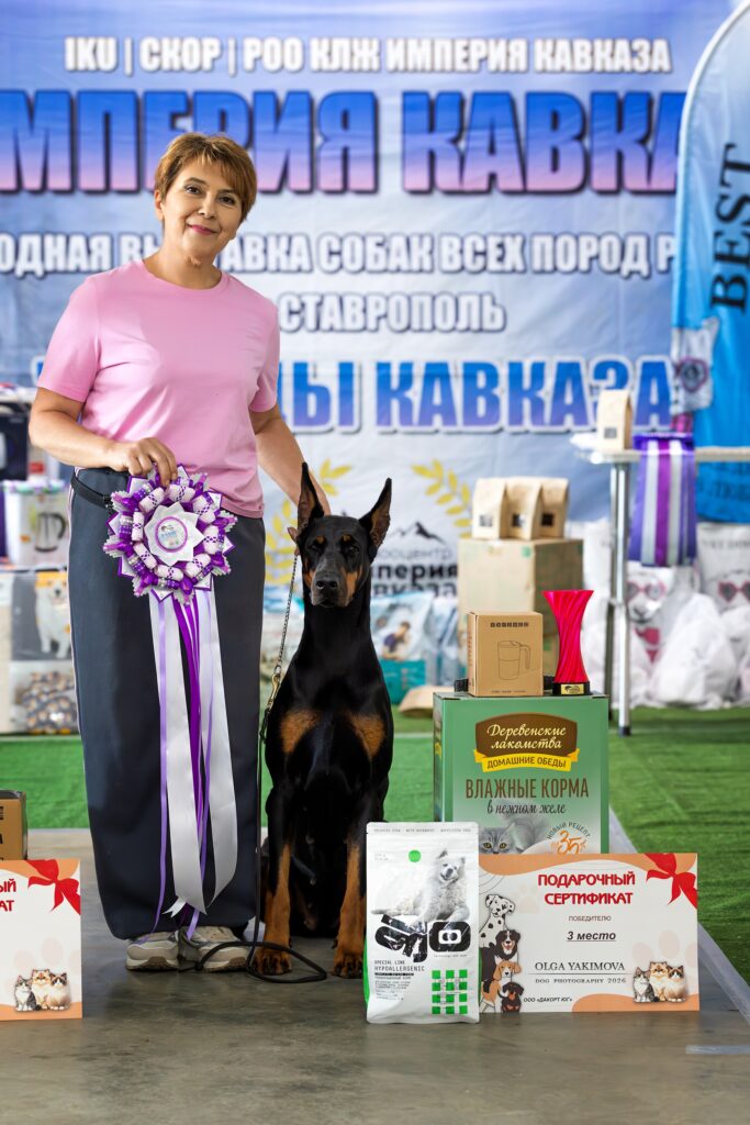 6-7.06.2026 Ставрополь, СКОР, 3 выставки рангов: Международная, Монопородная, Национальная, судьи: В.Кочеткова, М.Горшков