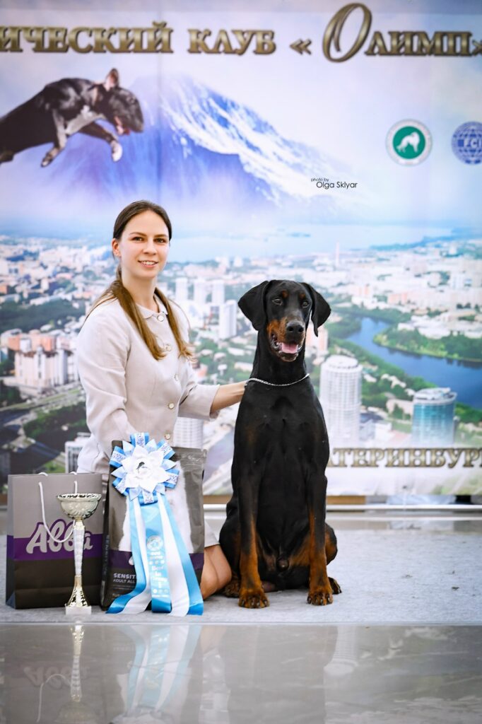 12.09.2026 Екатеринбург, 2х САС- Чемпион РКФ, САС 2 группы, судьи: Т.Григоренко, Н.Седых, М.Тихомирова